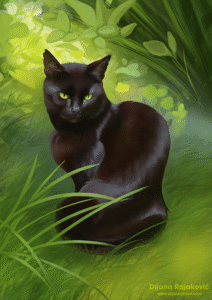 Jamie - Portrait of a friend’s cat A somewhat stylized digital illustration featuring a black cat sitting in tall green grass. The cat is shown from the side, with its head turned in the general direction of the photographer (a little to the side). There are green and brown reflections in his shiny fur, and he has piercing green eyes.
